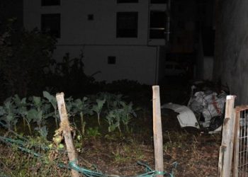 20 günlük bebeğini bahçeye gömüp, kayıp ihbarında bulunmuş