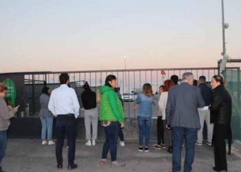 Belediye ekipleri köpek toplarken ortalık karıştı