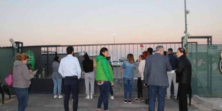 Belediye ekipleri köpek toplarken ortalık karıştı