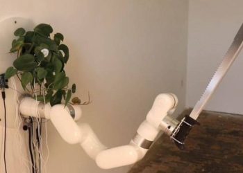 Beyni bitki olan palalı robot yaptı