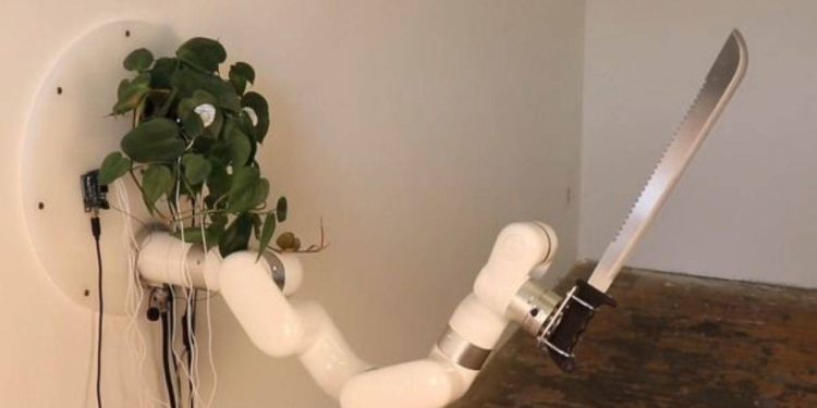 Beyni bitki olan palalı robot yaptı