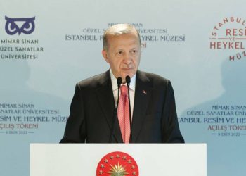 Erdoğan: Müzisyen kardeşimizin acısını siyaset malzemesi haline getirmek ahlaki değil
