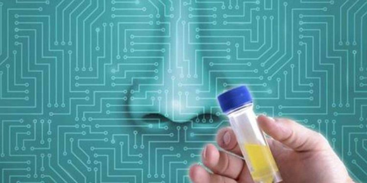 İnsanlar koklamadan nasıl koktuğunu tahmin ediyor