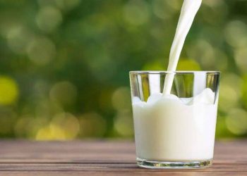 Süt balgam yapar mı? Süt vücutta iltihap yapar mı? Fazla süt içmenin zararları nelerdir?