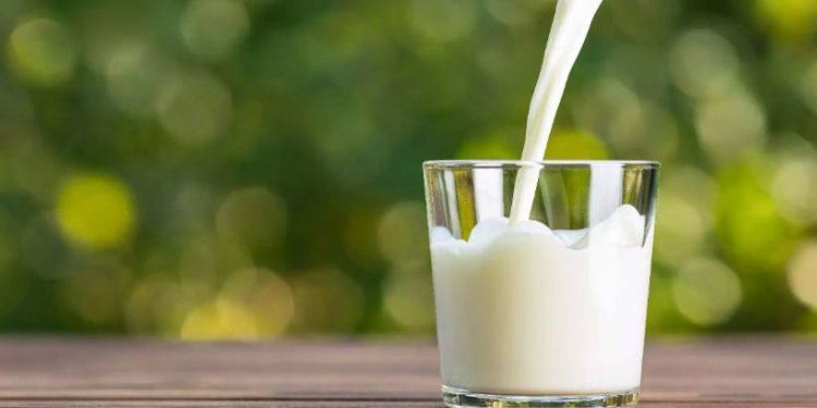 Süt balgam yapar mı? Süt vücutta iltihap yapar mı? Fazla süt içmenin zararları nelerdir?