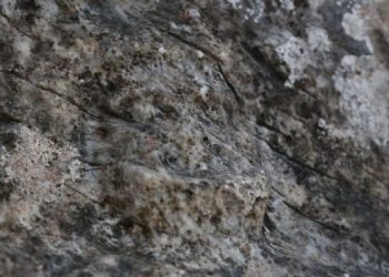 Tesadüfen keşfedildi! Ne olduğunu öğrenince şaşkına döndü