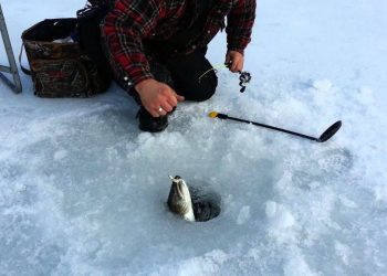 Türk vatandaşları Kuzey Kutbu’nda mülk alıp balık avlayabilir