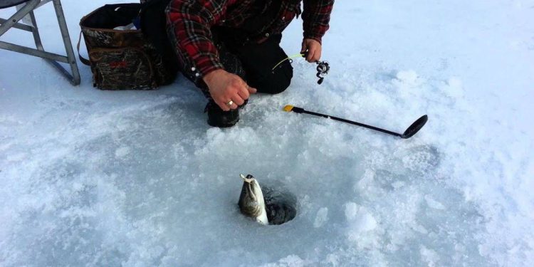 Türk vatandaşları Kuzey Kutbu’nda mülk alıp balık avlayabilir