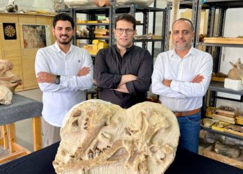 41 milyon yıllık balina fosili bulundu