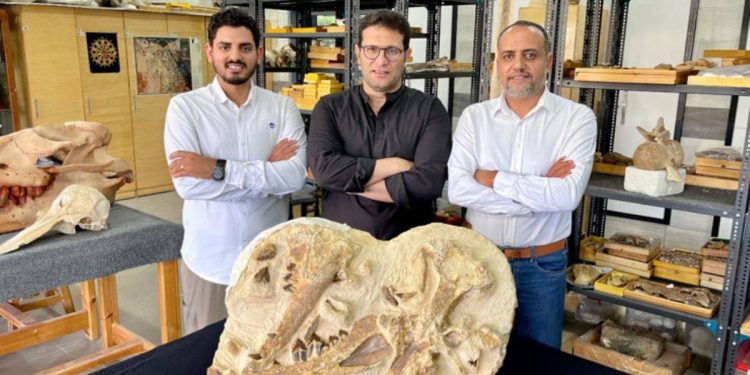 41 milyon yıllık balina fosili bulundu