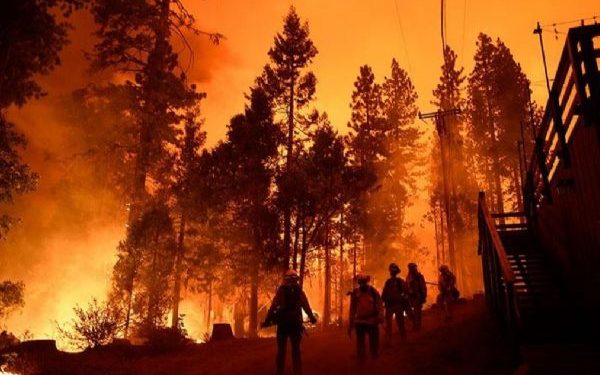 ABD’nin başkentindeki orman yangınlarında 2 kişi hayatını kaybetti