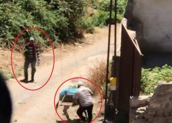 Dövdüğü eşek elinden alındı