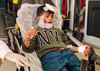 Köpekler ve mama lobisi