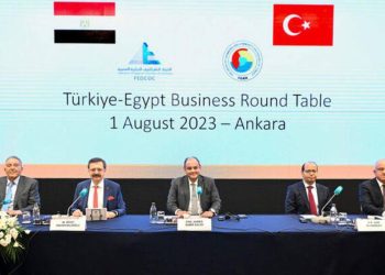 Mısır’dan Türkiye açıklaması