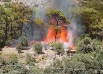 Muğla’daki orman yangınının çıkış anı