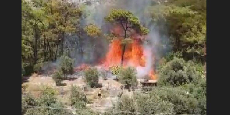 Muğla’daki orman yangınının çıkış anı