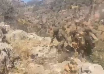 Yaralı yakalanan PKK’lı kadının babası konuştu