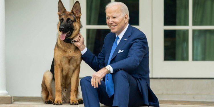 Biden’ın köpeği Beyaz Saray’dan kovuldu