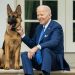 Biden’ın köpeği Beyaz Saray’dan kovuldu