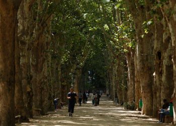 Cezayir’in doğa harikası bahçeleri